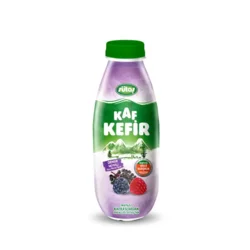 Erdallar Gross Market SÜTAŞ KAF KEFİR ORMAN MEYVELİ 250 ML