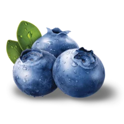 Erdallar Gross Market YABAN MERSİNİ