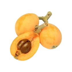 Erdallar Gross Market YENİDÜNYA MALTA KG